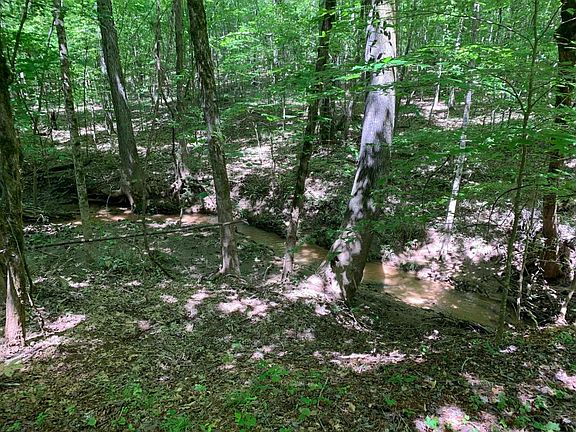 A babbling creek snakes though the property.