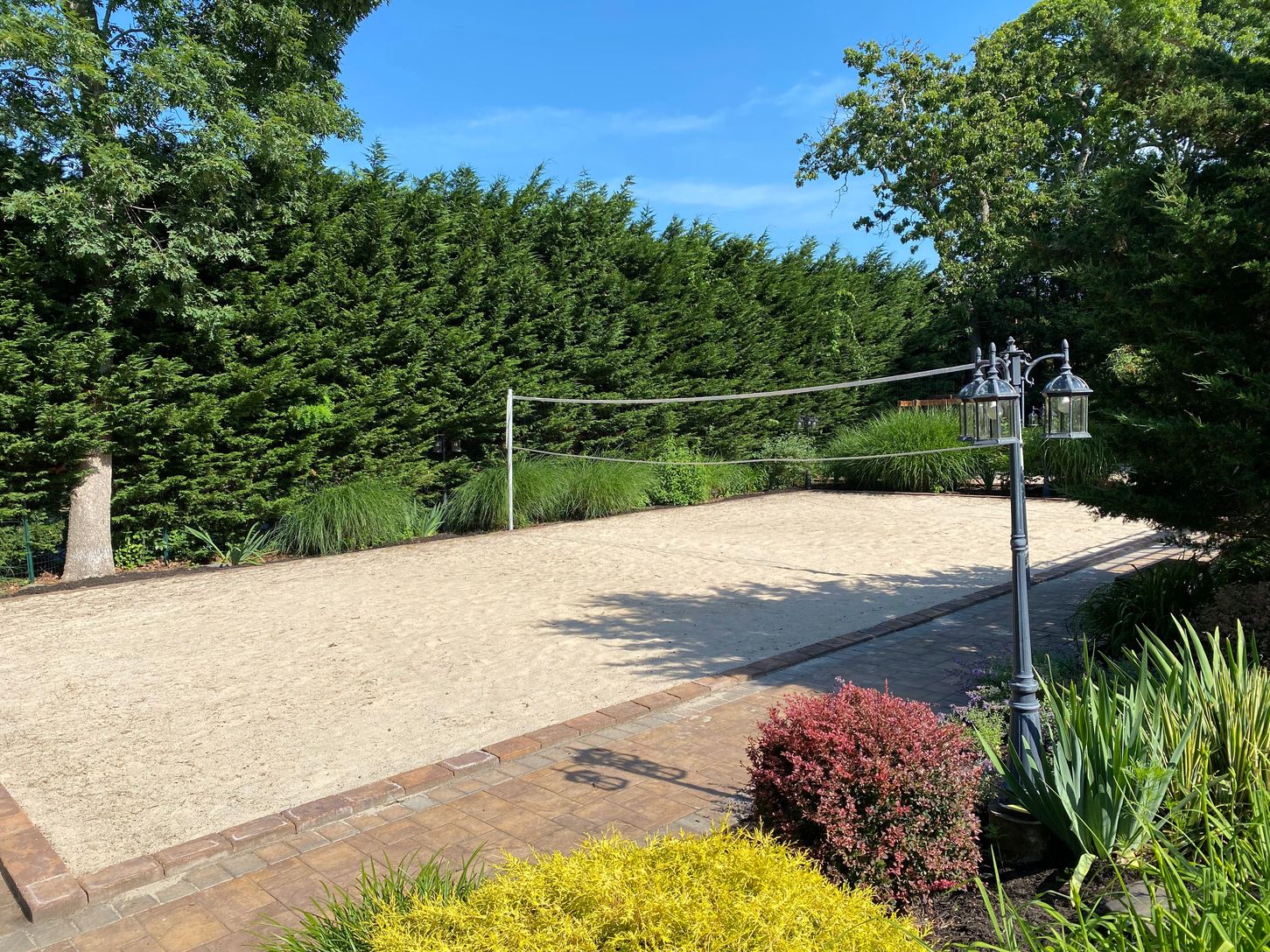  Vibrant Volleyball Court