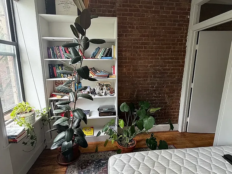 219 Mott St #3FS — Photo 5