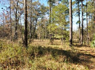 2 W Lake Forest Ct, Conroe, TX 77384