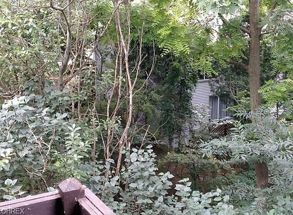 3rd image of 524 Forest Creek Dr
