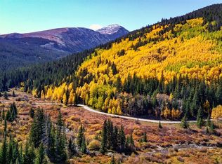 310 Rio Azul Rd, Blue River, CO 80424