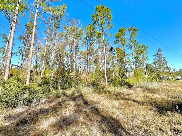 0000 NE Oak Pond Cir, Steinhatchee, FL 32359