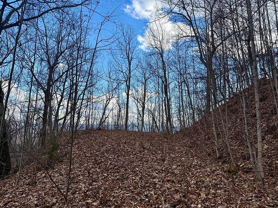 1st image of 0 Lyle Mountain Trl