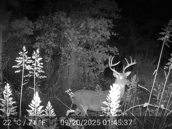 4th image of 524 County Road 1792