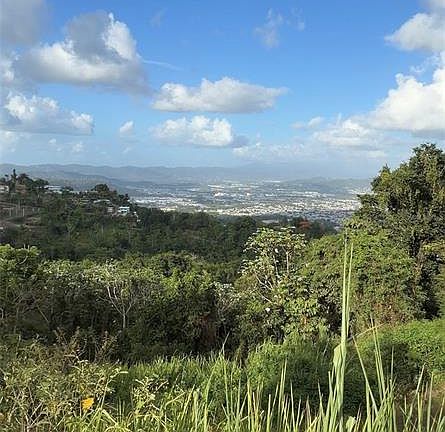 5th image of PR 785 KM 2.0 #4