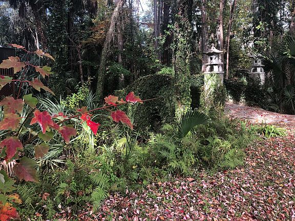 The bridge and ferns along Riverside Drive.