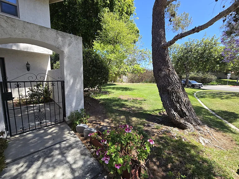 6552 Corte Valdez — Photo 4
