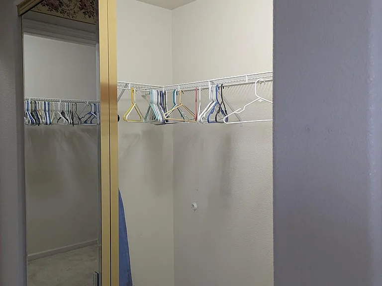 Closet in Master
