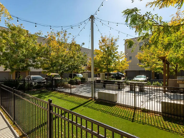 Secure Dog Park with Grassy Area and Ample Space to Play