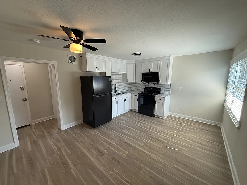 1 bed, 1.0 bath, 625 sqft, $1,245 — Photo 3