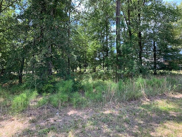 1st image of Woodland Shores Dr