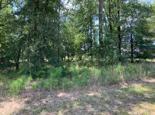 Woodland Shores Dr, Pointblank, TX 77364