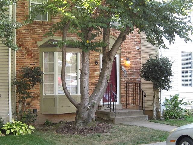 1st image of 10089 Chestnut Wood Ln