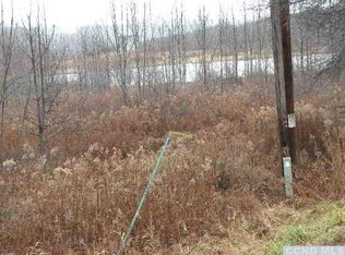 482 Cape Horn Rd, Stamford, NY 12167