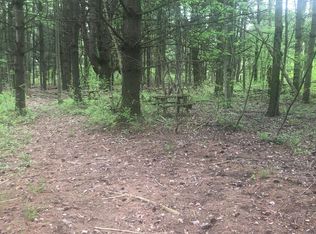 0 S Palms Rd, Goodells, MI 48027