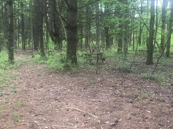 0 S Palms Rd, Goodells, MI 48027