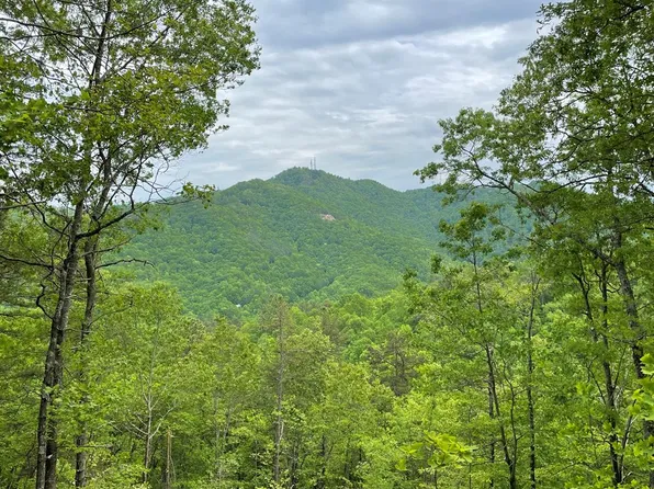 LOT 9 Butternut Rdg, Bryson City, NC 28713