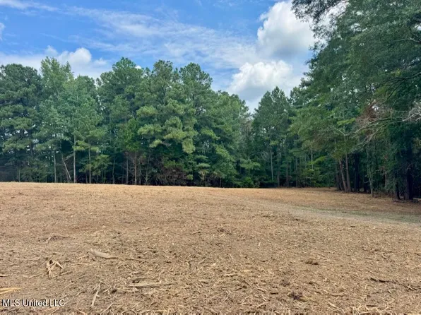 2 Old Red Star Dr NW, Wesson, MS 39191