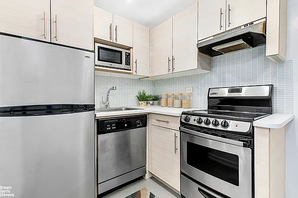 Rented by Brown Harris Stevens | media 5