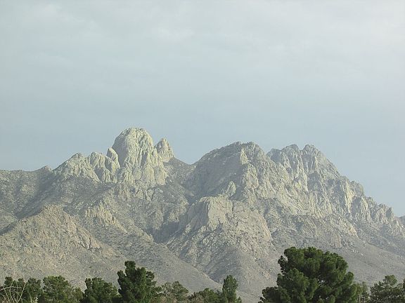 4th image of 9613 Longhorn Dr