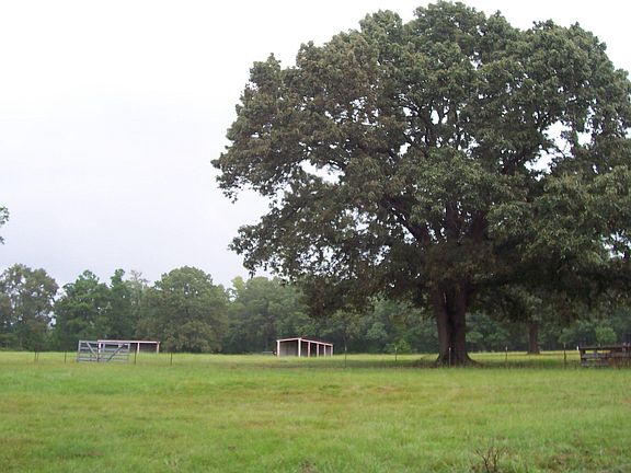 Pasture up front