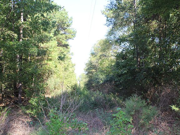 2nd image of County Road 3135