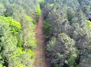 96677 State Highway 190, Pointblank, TX 77364