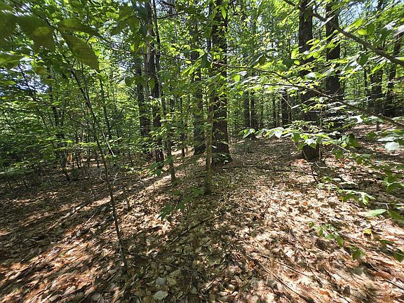 3rd image of Lot 27 Davis Hill Road