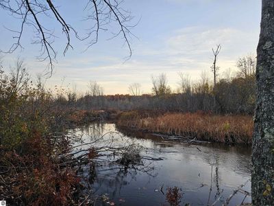 20 Diamond Park Rd, Interlochen, MI, 49643
