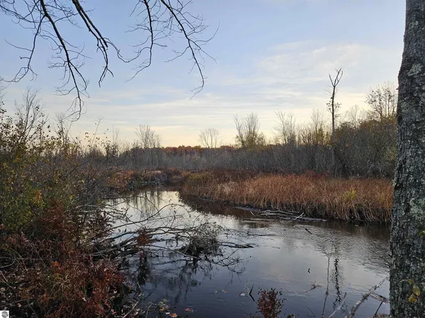 20 Diamond Park Rd, Interlochen, MI 49643