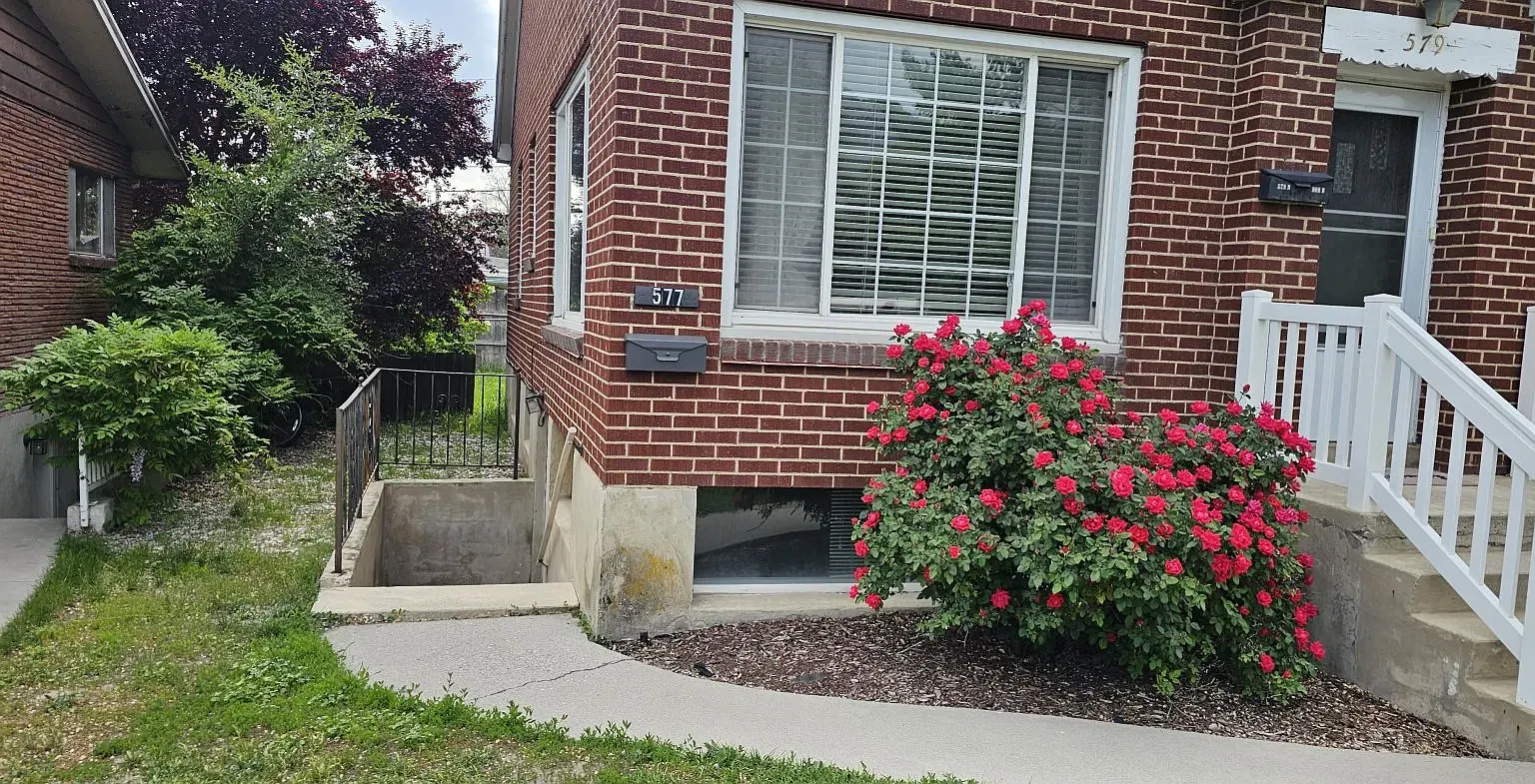 577 Provo Basement — Photo 3
