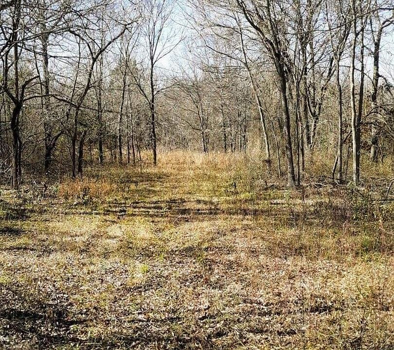 2nd image of 10735 N 360th Rd
