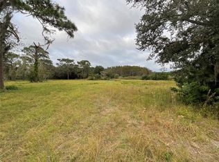 15611 Phillips Rd, Odessa, FL 33556