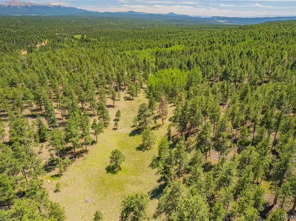Lot 2 County Road 51, Florissant, CO 80816
