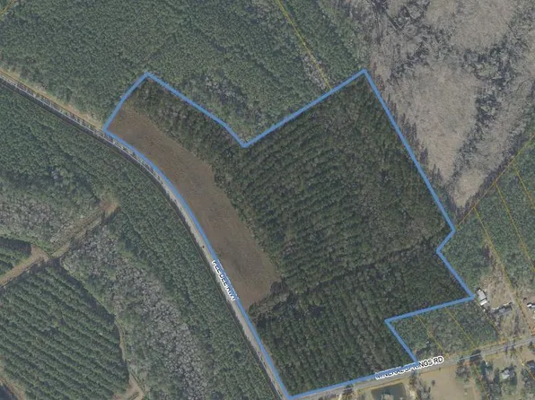 TBD SW Pee Dee Hwy. #Mineral Springs Road, Conway, SC 29527