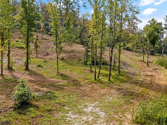 2nd image of 315 Tobby Hollow Ln