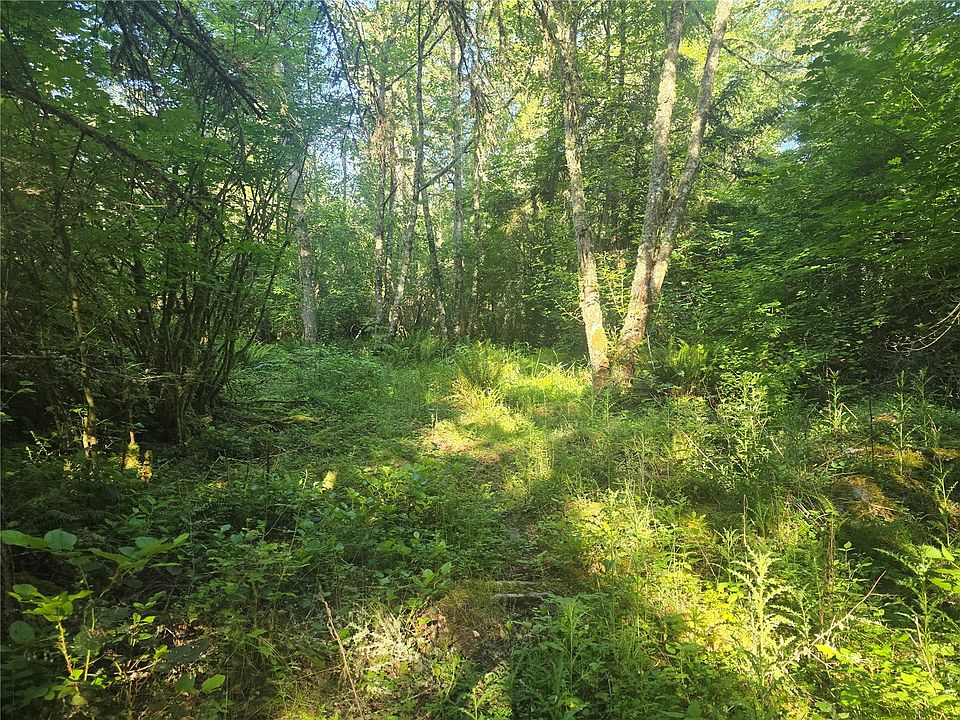 2nd image of 13701 Starflower Lane SE