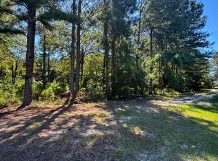 125 Orange Ct, Sylvania, GA 30467