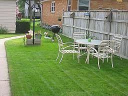 Yard