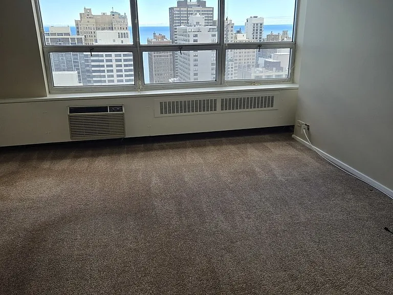 70 W Burton Pl #3104 — Photo 3