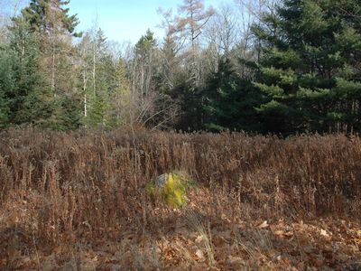 0 Giant Slide Rd, Mount Desert, ME, 04660