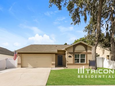 2517 Gotham Way, Valrico, FL, 33596