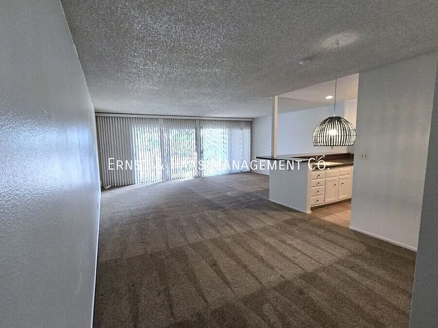 Lovely 1-Bedroom Condo in Prime Belmont Heights Location! — Photo 3
