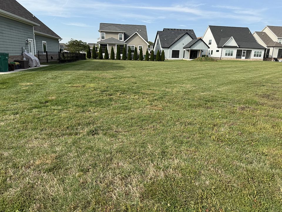 1st image of 0 Why Worry Ln Lot 322