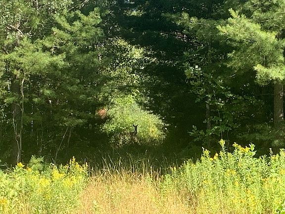 2nd image of N/A Eytcheson Road