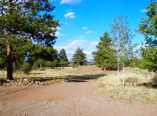 605 Adobe Rd, Hartsel, CO 80449