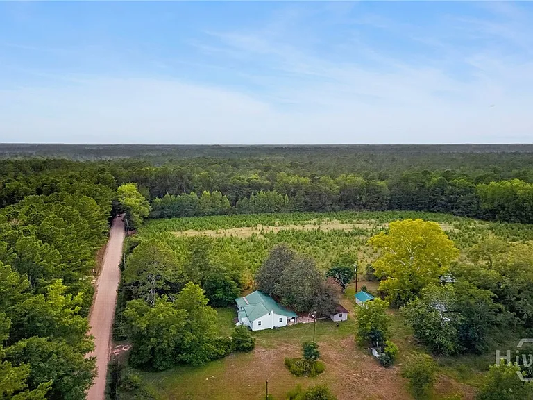 4115 Seed Tick Rd — Photo 45