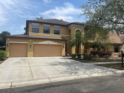 1805 Abbey Trace Dr, Dover, FL, 33527