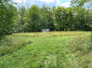 New Kingston Mountain Rd, Roxbury, NY 12474